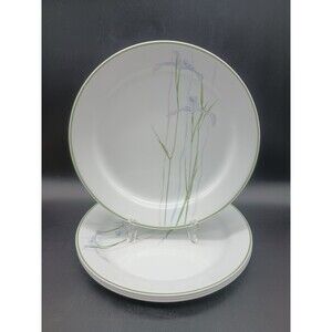 Corelle Shadow Iris SET Of 4  Dinner plates 10.25"